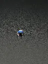IMG_2361.webp