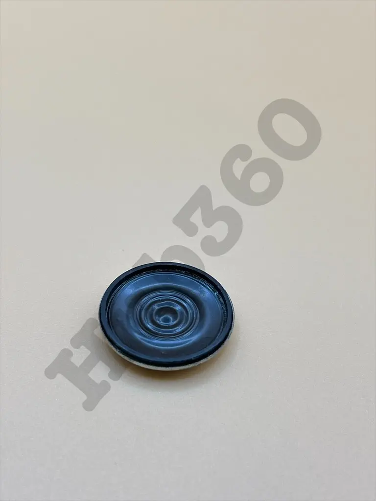 WKOD9866.webp