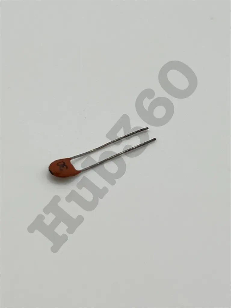 QITU9910.webp