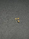 IMG_5169.webp