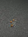 IMG_5136.webp