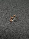 IMG_5138.webp