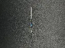 IMG_1920.webp