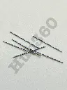 IWZR4838.webp
