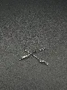 IMG_3031.webp