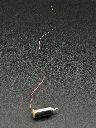 IMG_3670.webp