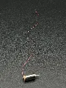 IMG_3671.webp