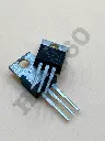 OSVW7825.webp