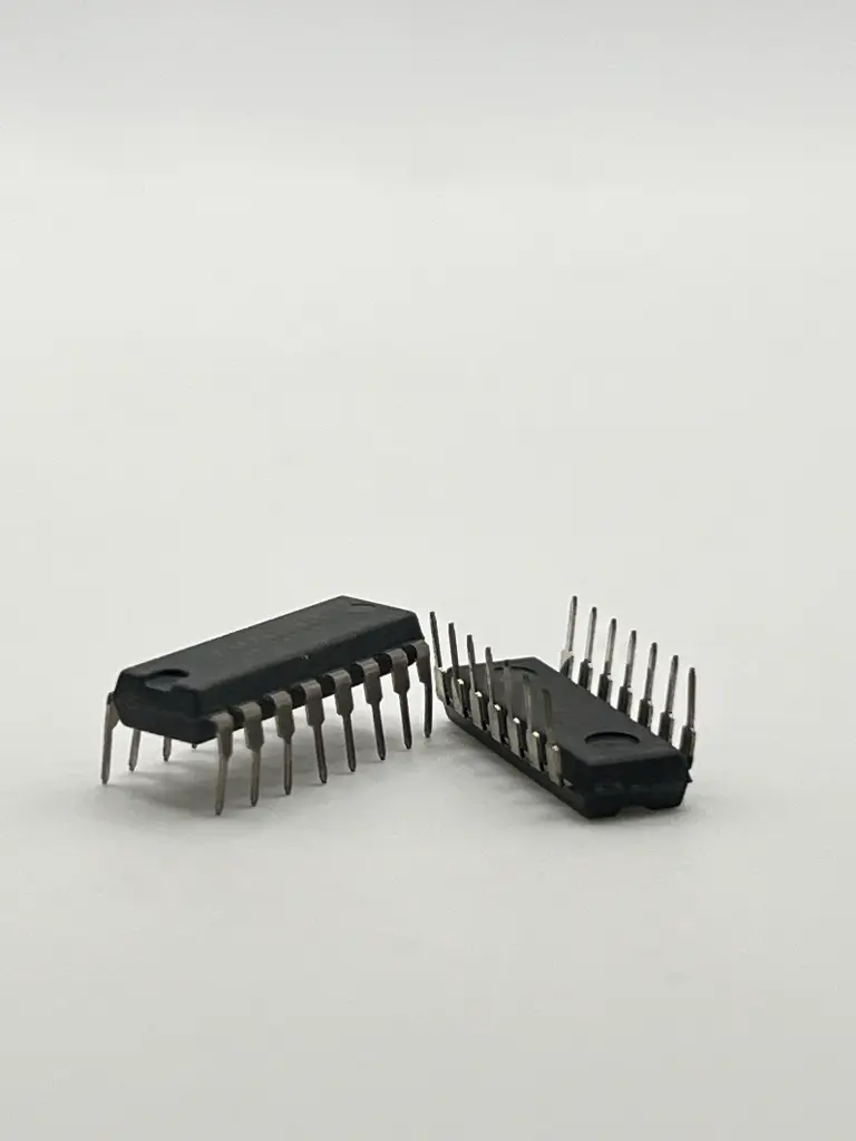 IMG_1614.webp