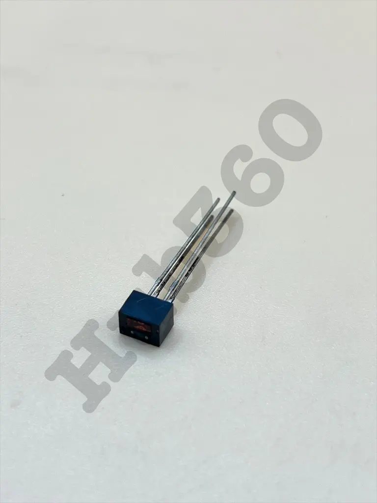 INTK3968.webp