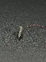 408 Coreless High-Speed Motor with Propeller