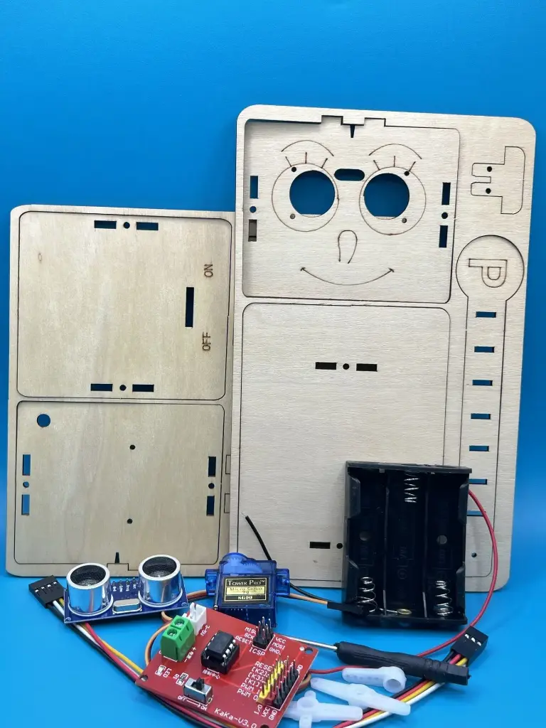 DIY STEM Ultrasonic Intelligent gate