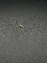 1.8KΩ 1/4W resistor