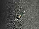 470KΩ 1/4W resistor