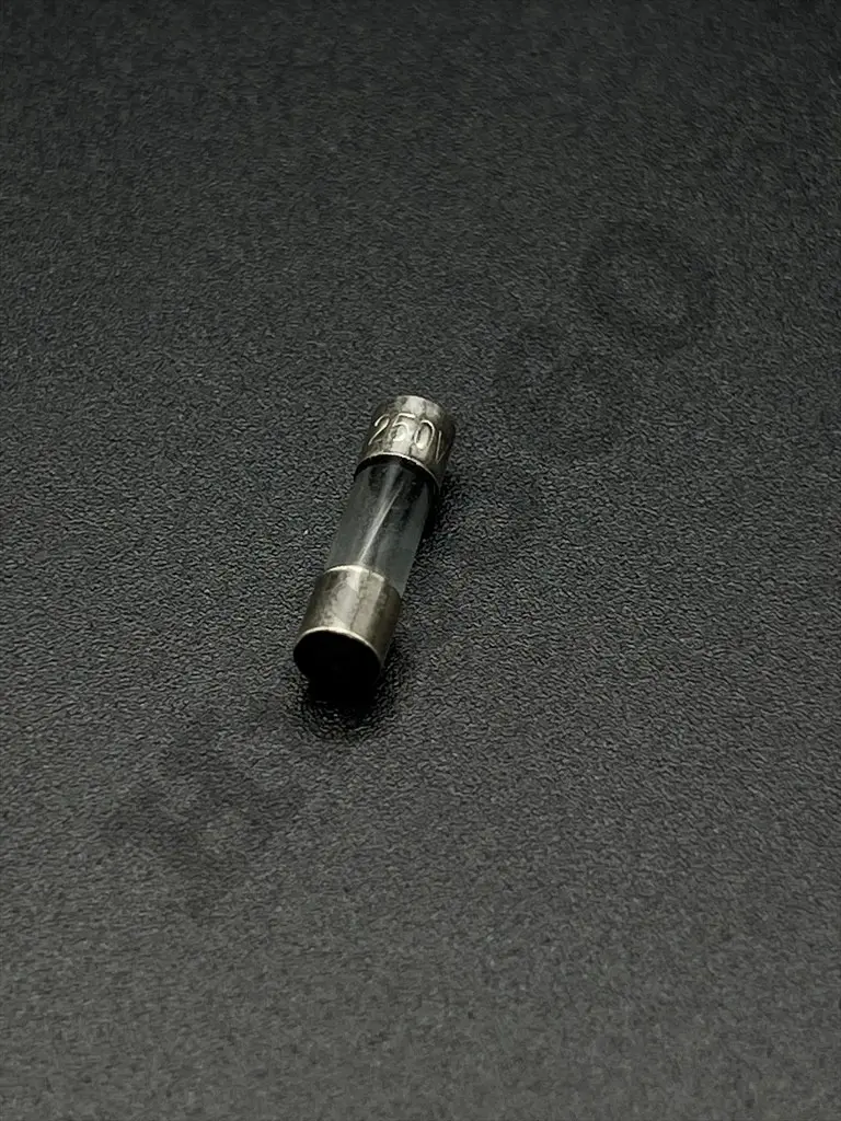 10A 250V fuse